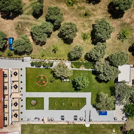 Apartament Pigasos *