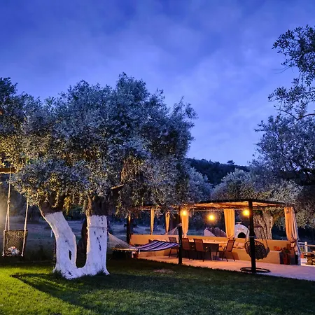 Pigasos Σκάλα Σωτήρος