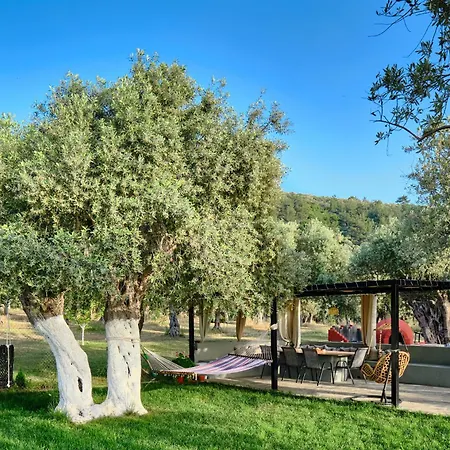 Apartament Pigasos